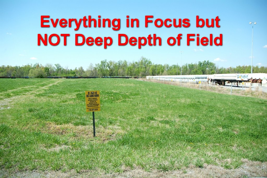 False Deep DOF field Label